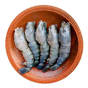https://fishmart.com.bd/wp-content/uploads/2020/05/cat-shrimp.jpg