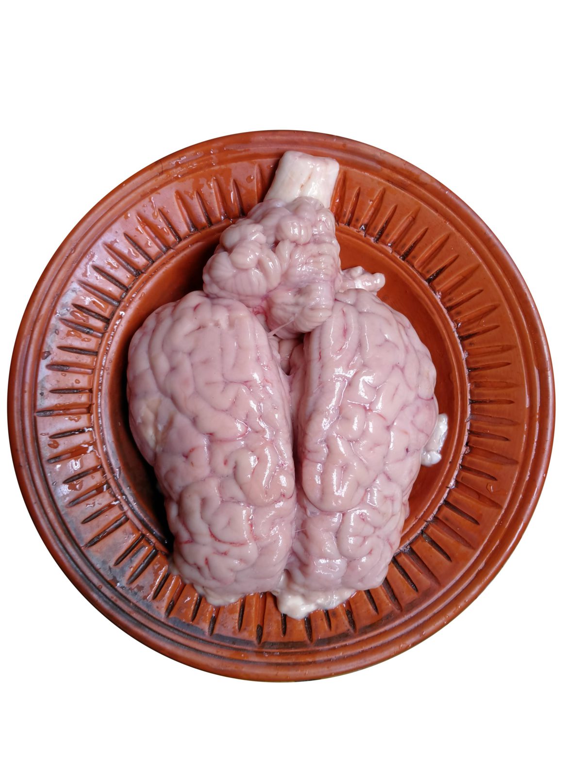 Beef Brain (Whole 1pc) – Fish Mart